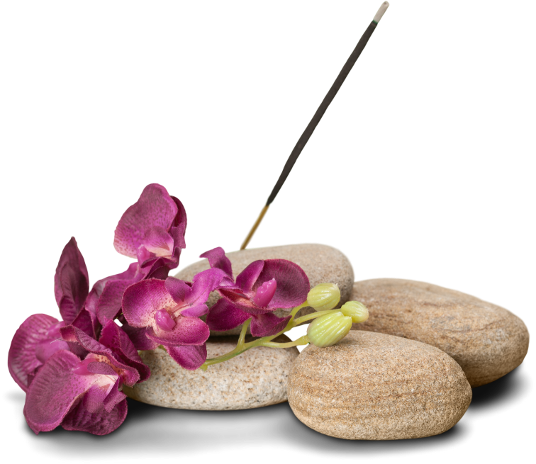 Diseño sin título (7)